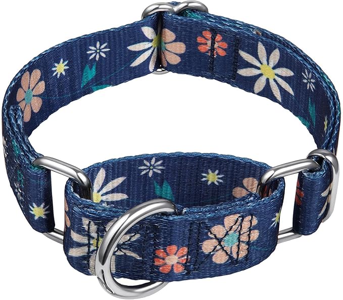 Martingale Collar Floral Print Dog Collar - No Pull Pet Collar, Heavy Duty Adjustable Dog Collar, Medium, Neck 14 Inch -21 Inch, Elegant Flowers (Dark Blue)
