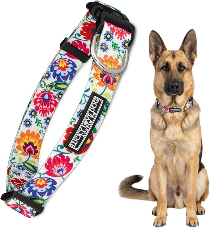 Lucky Love Dog - Adjustable Dog Collar with Easy Click Buckle for Medium, Durable, & Comfortable for Male & Female Dogs, Pet Collar for Puppies & Adult Dogs - Ladybird, Medium