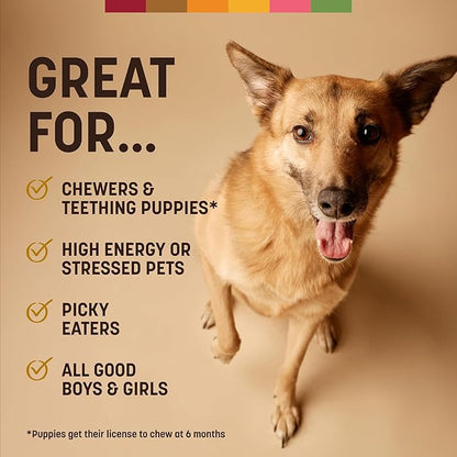 Earth Animal No Hide Strips - Natural Rawhide Free Dog Chew Strips, Peanut Butter - 16 Count