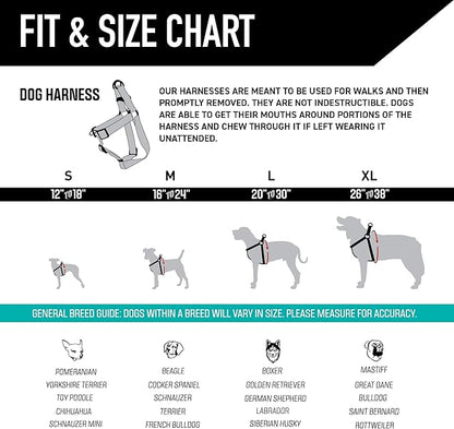 Wolfgang Heavy Duty Adjustable Dog Harness, Pull-Tested for Walking & Training, BuenaOnda Print, Medium
