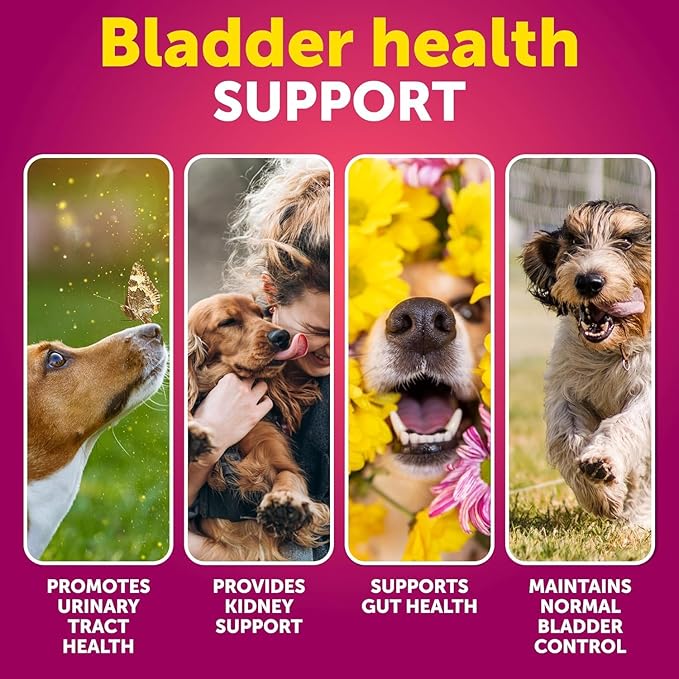 Dog UTI Treatment + Probiotic Chews Bundle - Cranberry Supplement for Bladder & Kidney Support - Probiotics & Prebiotics for Gut Health, Immunity, Yeast Balance, Reduces Diarrhea & Allergies