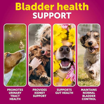 Dog UTI Treatment + Probiotic Chews Bundle - Cranberry Supplement for Bladder & Kidney Support - Probiotics & Prebiotics for Gut Health, Immunity, Yeast Balance, Reduces Diarrhea & Allergies