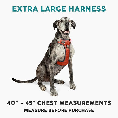 Embark Adventure No-Pull XL Dog Harness for Extra Large Dogs – Reflective Trim, Military-Grade Nylon, Dual Leash Clips, Gel-Lined Handle