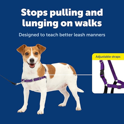 PetSafe Easy Walk Harness for Dogs - Pull-Free Walks - Patented Martingale Loop Design - Front Chest Leash Attachment - Comfort Straps - Breathable Harness Design - Small, Deep Purple/Black