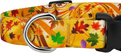 Country Brook Petz - Autumn Wind Everyday Dog Collar and Leash - Awesome Autumn Collection Featuring Designs You'll Fall for (1/2 Inch, Extra Small)