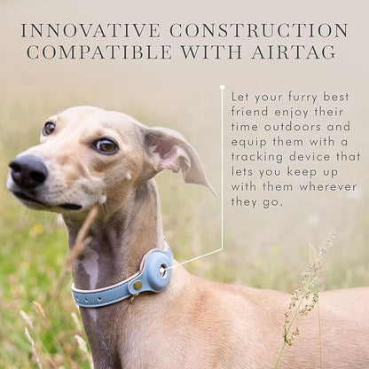 NINA WOOF Cupertino Dog Collars, Harnesses & Leashes Made from Vegan Leather with Dog Tracker Device Holder Adjustable Dog Collar - Color Blue, Medium