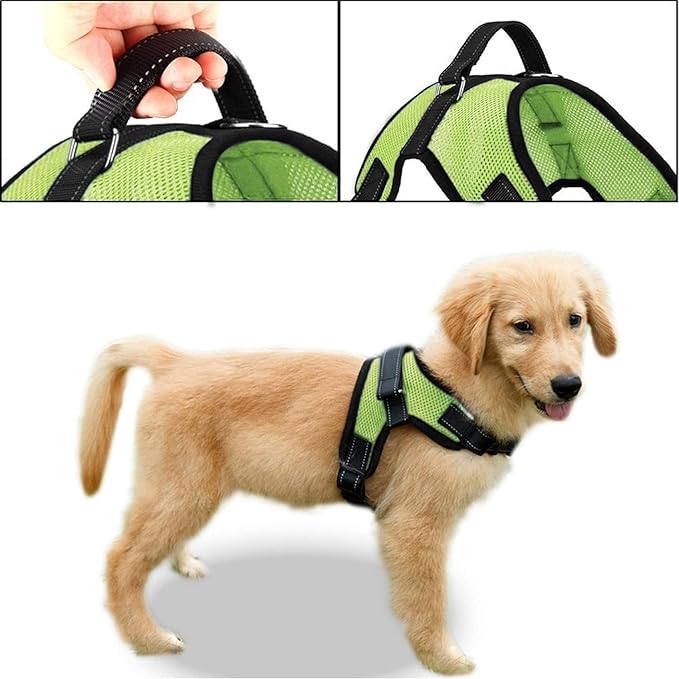 No Pull Reflective Adjustable Dog Harness With Handle- Comfortable Soft All Weather Mesh, Easy On Puppy Harness For Small Medium and Large Dogs (Green) Small