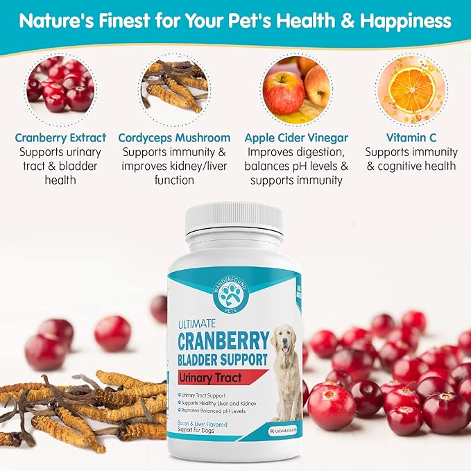 Wanderfound Pets Ultimate Cranberry Bladder UTI Support Supplement for Dogs - Dog Urinary Tract Infection Incontinence Formula with Cordyceps Mushroom - Bacon & Liver Flavor - 90 Chewable Tablets