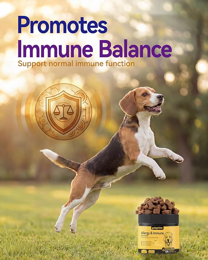 Dog Allergy Relief Chews – Daily Allergy & Immune Support with Quercetin, Colostrum & Probiotics, Helps Maintain Normal Histamine Response, Supports Skin & Coat Comfort, Gut Health, 120ct