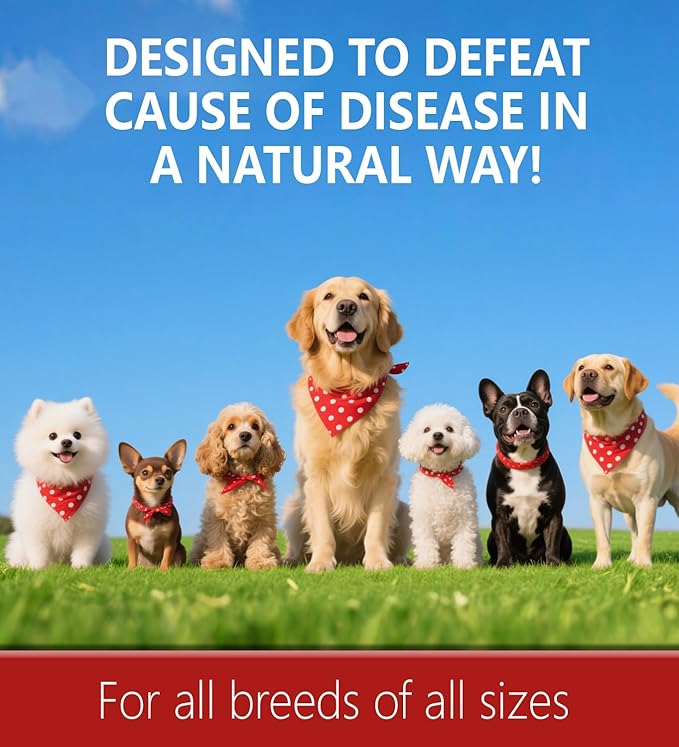 Kennel Cough for Dogs, Natural Dog Cough Treatmen, Gentle Dog Allergy Relief, Cough Supplement for Dogs Respiratory Infection, Herbal Drops for All Breeds & Sizes