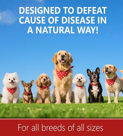 Kennel Cough for Dogs, Natural Dog Cough Treatmen, Gentle Dog Allergy Relief, Cough Supplement for Dogs Respiratory Infection, Herbal Drops for All Breeds & Sizes