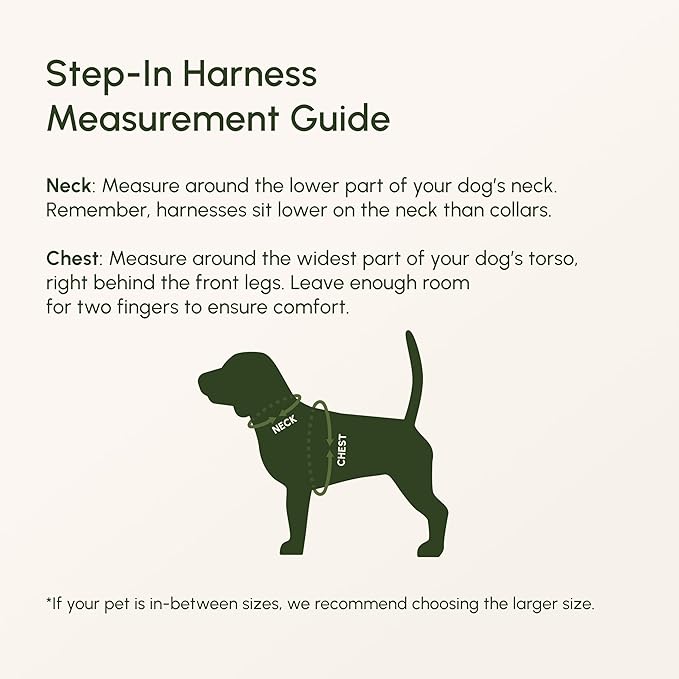 Downtown Pet Supply Step in Dog Harness for Large Dogs - Adjustable, Escape Proof Dog Harness with Reflective Trim - All-Weather, Fast-Drying Padded Mesh Fabric - Tangerine, Medium