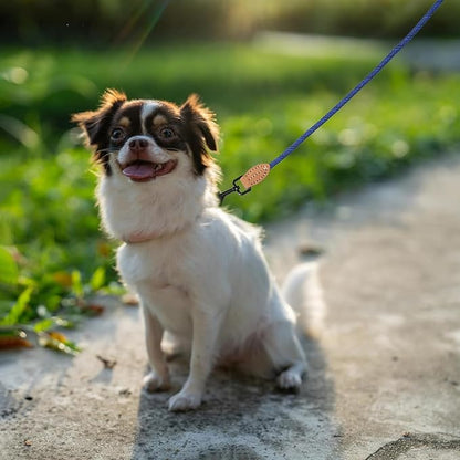 Mile High Life Small Dog Leash, Thin Rope Leash with Genuine Leather Connection and Heavy Duty Metal Clasp, Great for Small Medium Dogs(Blue,48 Inch-1/3)