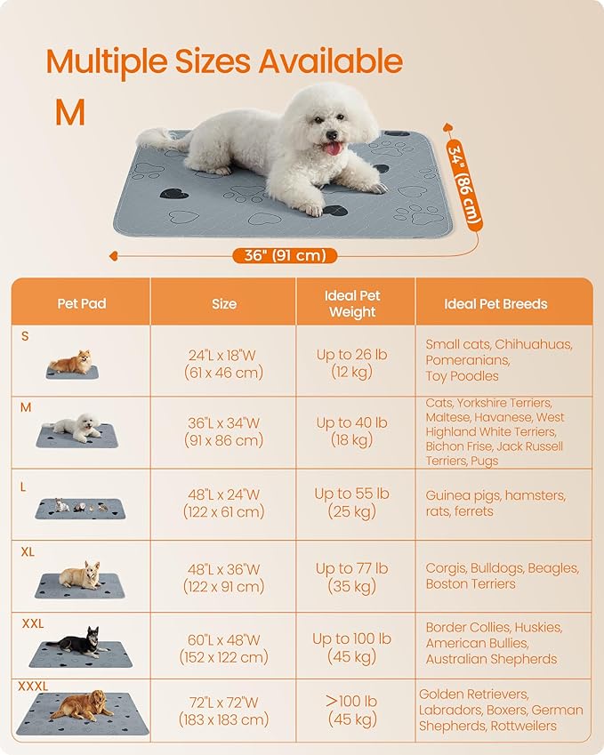 Feandrea Washable Dog Pee Pads, 2 Pack, Reusable Dog Pads, 36 x 34 Inches, M, Waterproof Pet Training Pads, Leakproof, Non-Slip, Super Absorbent, Gray UPTD034G01