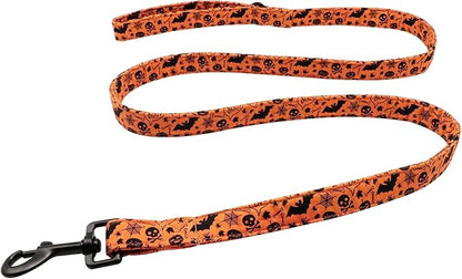 Lionet Paws Dog Leash for Small Medium Dog, Orange, 1in x 5ft