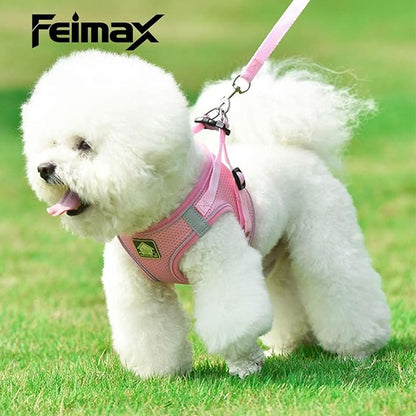 FEimaX Dog Harness and Leash Set, No Pull Breathable Soft Mesh Puppy Vest Harness Reflective Adjustable Pet Harnesses for Small Medium Dogs and Cats - Outdoor Easy Control for Walking