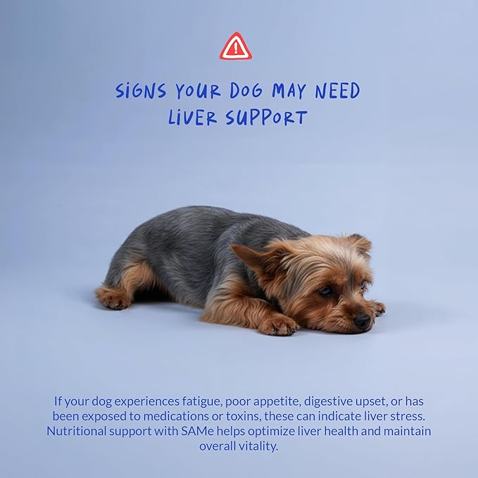 Same for Dogs - 120 Chewable Tablets - S-Adenosyl-L-Methionine, Liver Supplement - Brain Health, Promotes Cognitive Support, Liver Support (Same Tablet)