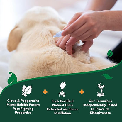 Vet’s Best Natural Flea and Tick Drops for Dogs – Natural Topical Flea Prevention with Certified Essential Oils – Plant-Based Spot-On Treatment for Large Dogs – Pest Control – 4 Month Supply