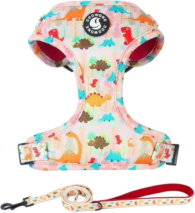 Adjustable Dog Harness and Leash Set for Girl Air Mesh Dog Vest Harness 5Ft Pet Training Leash with Soft Handle Pet Escape Proof for Small Medium Large Dogs (Dinosaur, L)