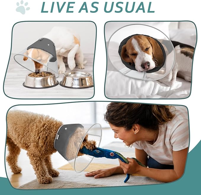 Dog Cone Collar with Snap-on Detachable Soft Liner, Lightweight Transparent Elizabethan Alternative to Stop Licking, for Spay Neuter Surgery Recovery, for Medium Large Small Dogs (Black,S)