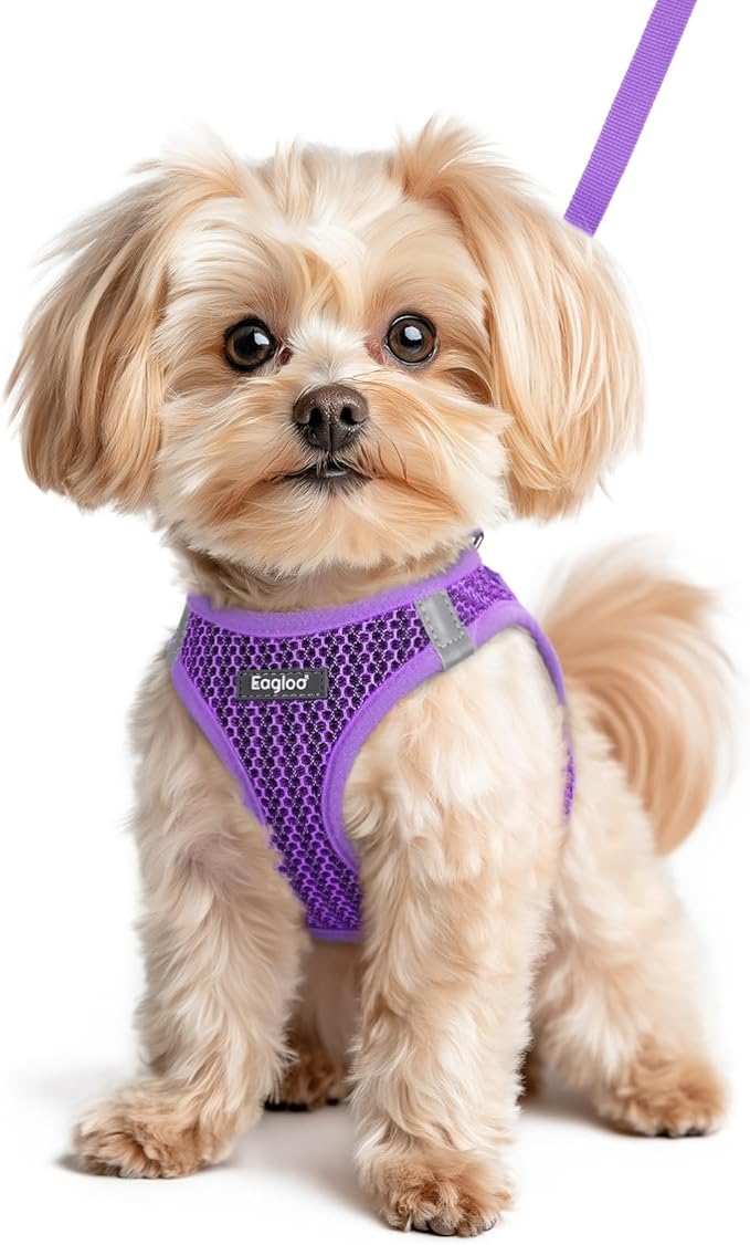 Eagloo Small Dog Harness and Leash Set, Step in Puppy Vest with Breathable Soft Mesh, Walking Reflective Pet Harness for Small Dogs, Purple, XS