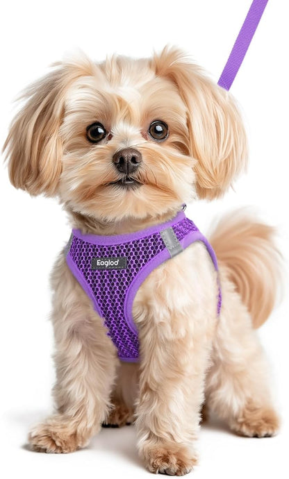Eagloo Small Dog Harness and Leash Set, Step in Puppy Vest with Breathable Soft Mesh, Walking Reflective Pet Harness for Small Dogs, Purple, XS