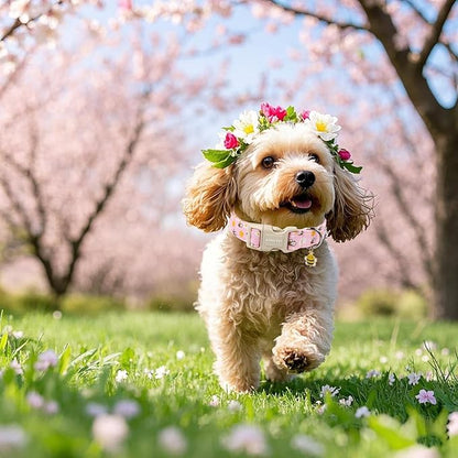 ARING PET Summer Dog Collar, Cute Pink Bee Daisy Floral Pet Collars with Quick Release Buckle for Puppy Small Medium Large Boy Girl Dogs-L