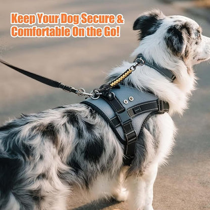 Dog Collar Safety Clip, Collar Companion, Handmade Backup Safety Strap, Double-Ended Clip Leash Connector, Suitable for Dog Harnesses, Prong, Pinch Collars (Black,Gold, 1 Pack)