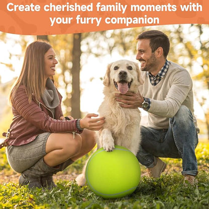 QDAN Giant Large Tennis Ball for Dogs: 9.5" Premium Balls for Dog for Outdoor Play, Big Tennis Ball Dogs Toy, Tennis Ball for Small Medium Large Dogs, Pet Balls Birthday, Yellow
