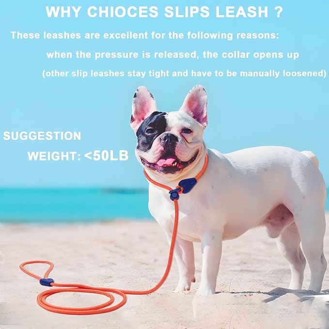 Slip Leads for Dogs Puppy Leash Comfortable 6 FT Heavy Duty Loop Leash No Pull Pet Training Leash 6 Colors Classic Dog Leash for Small Medium Dogs Orange