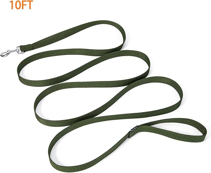 Strong Durable 10ft Nylon Dog Training Leash, 1 Inch Wide Traction Rope, for Small and Medium Dog (Military Green, 10 Feet)