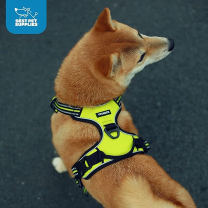 Voyager Dog Harness Dual Leash Attachment No-Pull Control Adjustable Soft but Strong Pet Harness for Medium and Large Dogs with 3M Reflective Technology, Turquoise Nylon, XS (Chest: 13-16")