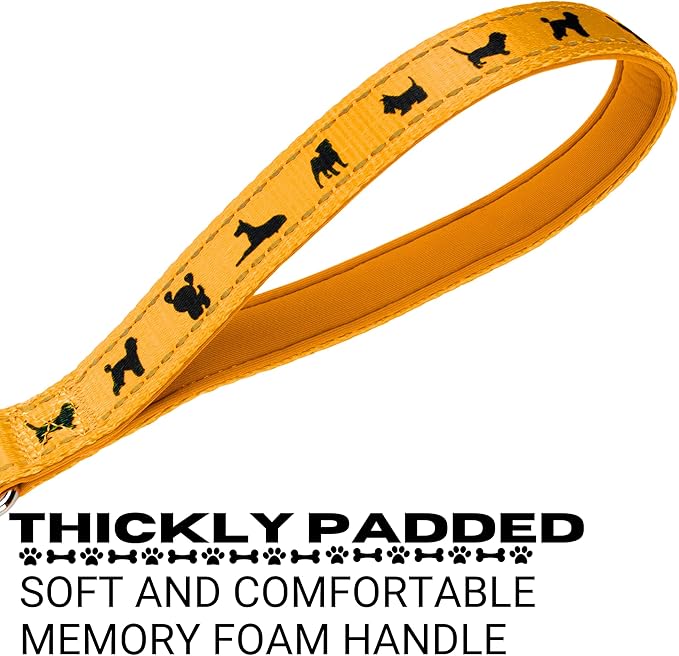 EcoBark Dog Leash - Soft & Reflective Comfort Training Leashes with Padded Handle - Safe, Strong, & Durable for Small, Medium or Large Dogs (Yellow)