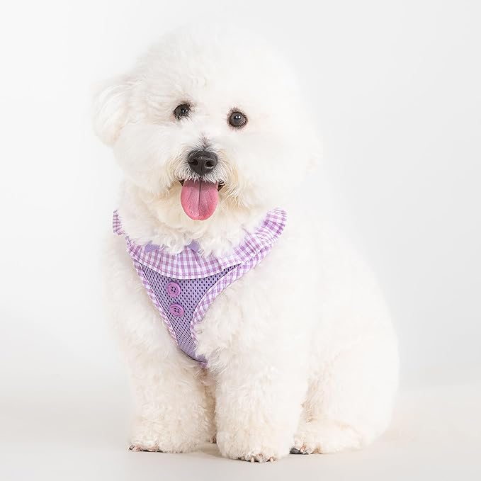 Puppia Vivien Dog Harness A (Over-the-Head) Fashionable Mesh Spring Summer Harness for Small Dogs, Violet, X-Small