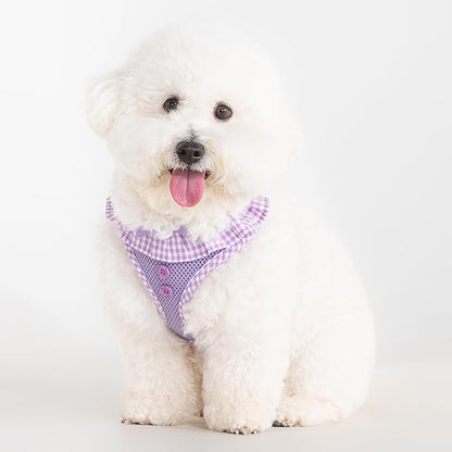 Puppia Vivien Dog Harness A (Over-the-Head) Fashionable Mesh Spring Summer Harness for Small Dogs, Violet, X-Small