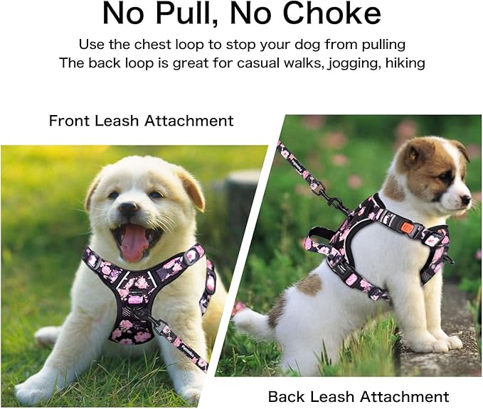 Petmolico No Pull Dog Harness Set with Leash Attachment Easy Control Handle Reflective Harness Vest Small Breed, Puppy Vest and Leash Set with Poop Bag Holder, Small - Pink Rose