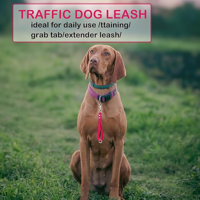Short Dog Leash - 9 Inch Dogs Lead Grab Tab Heavy Duty Waterproof PVC Dog Training Traffic Leashes for Safety Control Behavior Correction Hiking Backup & All Breeds(Violet, 9'')