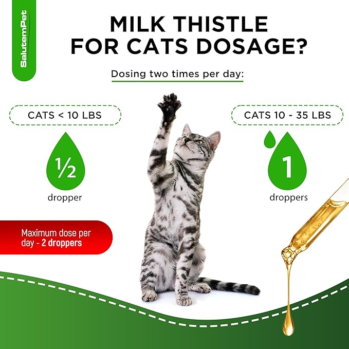 Сat Kidney Support | Milk Thistle for Cats | Herbal Supplement for Kittens & Adult Ones | Solution for All Breeds | Care for Liver | Сhicken Flavor | 2 Oz