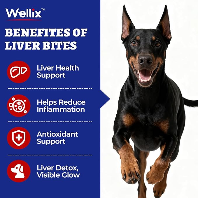 Wellix 260 Bites Liver Support for Dogs - Milk Thistle for Dog Liver Supplements with Omega-3 - Supports Heart & Antioxidant for Large,Small Breed Fogs -Chicken Flavor