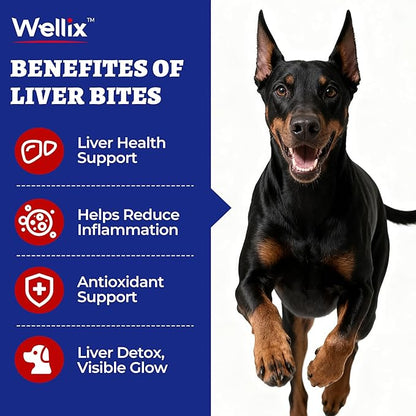 Wellix 260 Bites Liver Support for Dogs - Milk Thistle for Dog Liver Supplements with Omega-3 - Supports Heart & Antioxidant for Large,Small Breed Fogs -Chicken Flavor