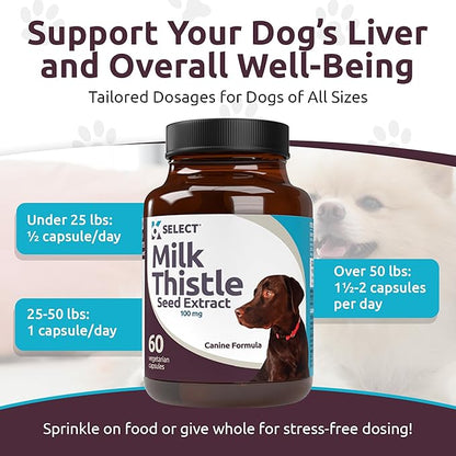 Milk Thistle for Dogs, 100mg - 60 Vegetable Capsules - Canine Liver Health Milk Thistle Supplement - Milk Herbal