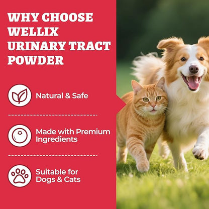 Wellix 8.8oz Large Dog and Cat Urinary Supplement - Rich in Omega-3,Cranberry for Cat UTI Treatment -Urinary Tract Podwer for Bladder & Kidney Support - Mixing with Dog&Cat Food Topper