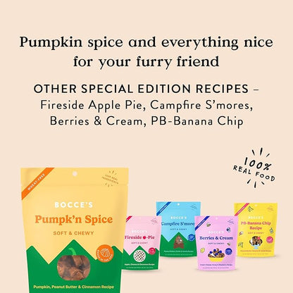 Bocce's Bakery Pumpk'n Spice Treats for Dogs, Wheat-Free Everyday Dog Treats, Made with Real Ingredients, Baked in The USA, Natural Soft & Chewy Cookies, Pumpkin, Peanut Butter, & Cinnamon, 6 oz