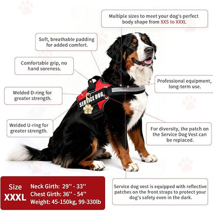 Service Dog Vest, ID Tag + 50 ADA Information Cards, Service Dog Harness w Patch in Sizes XX Small to XXX Large, Ruggedized Metal Tag, Service Animal Information Cards, ESA Accessory Set XXX-Large