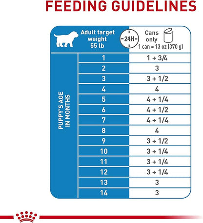 Royal Canin Size Health Nutrition Large Puppy Thin Slices in Gravy Dog Food, 13 oz (Pack of 6)