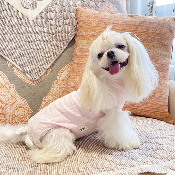 RSS Recovery Suit for Post-Surgery Dog Wounds - Abdominal Bandages, Prevent Licking, Substitute E-Collar (Vpink, XS)