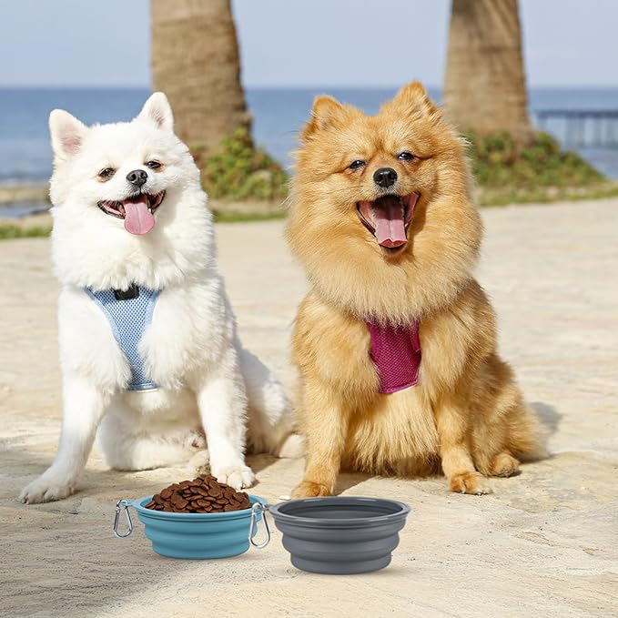 Kytely Collapsible Dog Bowls for Travel, 2Pack Dog Portable Water Bowl, Foldable Pet Food Bowl with Clasp, Pet Cat Feeding Cup Dish for Traveling, Walking, Hiking
