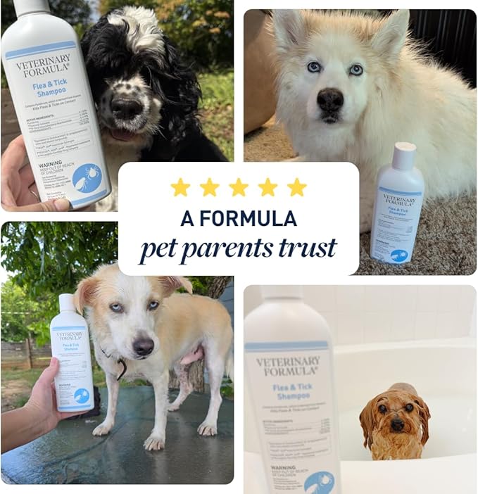 Veterinary Formula Flea and Tick Shampoo for Dogs and Cats, Flea and Tick Control Formula Helps Soothe Itchy Skin While Cleansing, Paraben, Dye, and Soap Free, 2 Pack, 16 fl oz Each