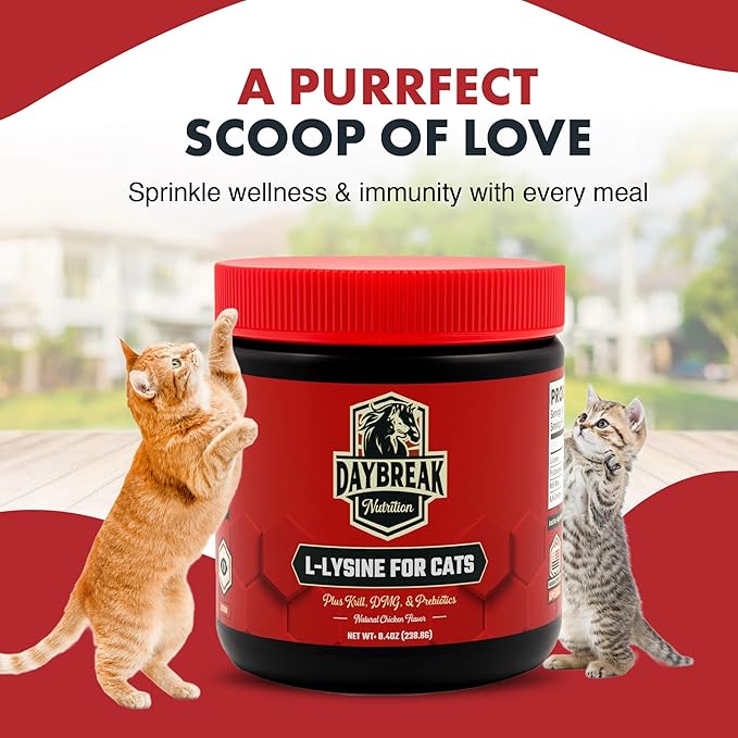 Daybreak Nutrition Lysine for Cats 900mg Powder - L-Lysine with 4 Active Ingredients for Immune and Respiratory Support - Made in USA Feline Supplement with 120 Servings