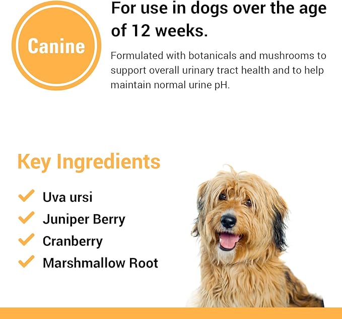 Vet Classics Urinary Tract Dog Supplement – Urinary Tract Support for Dogs, Helps Support Normal Urinary Tract Function, Pet Incontinence – Cranberry Dog Supplements – Chewable Tablets 120 Ct.